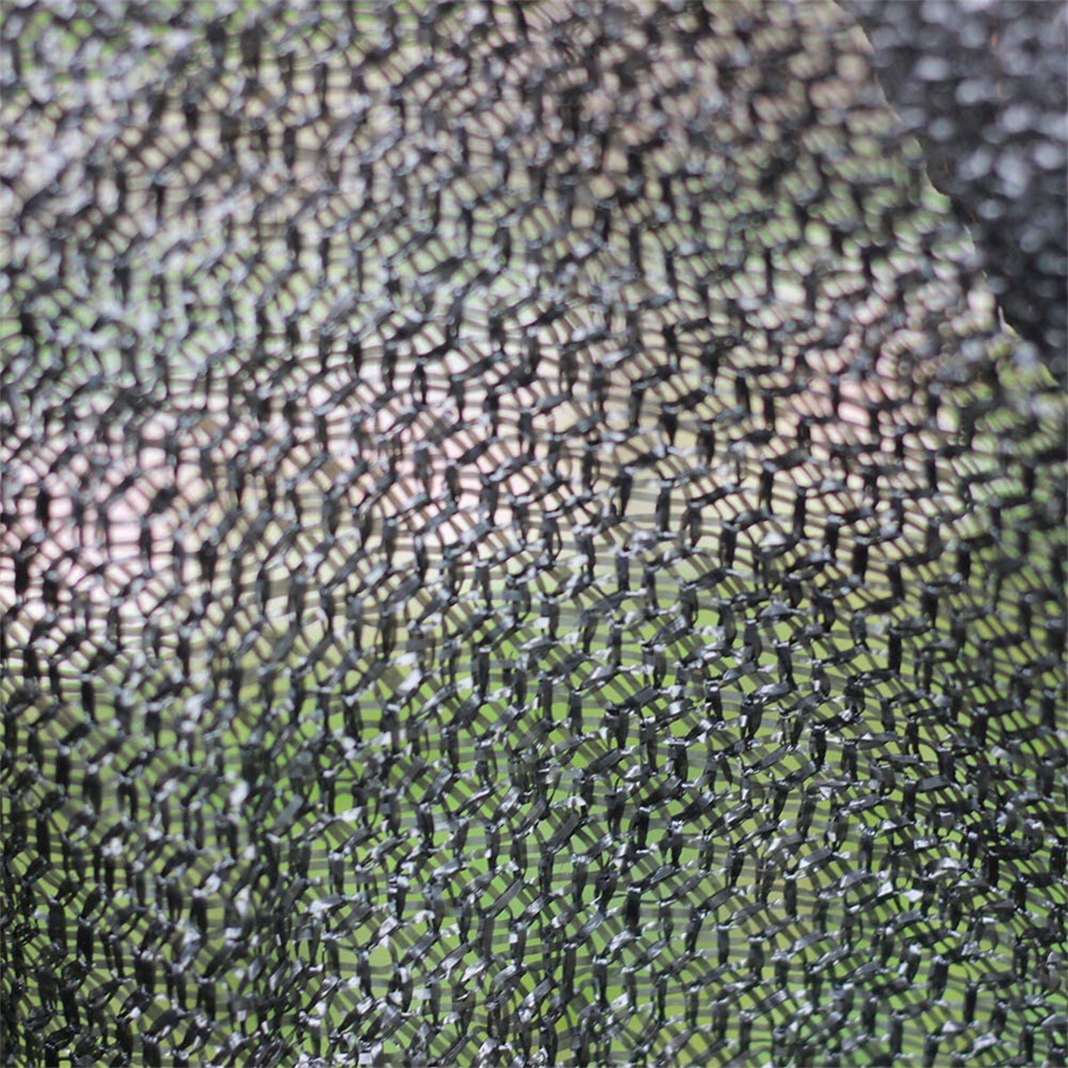 Picture 11 of 19