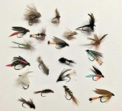 Pesca a mosca: info su Tecnica, Prede e Attrezzatura Pesca a mosca: info su Tecnica, Prede e Attrezzatura