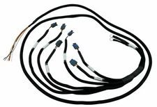 LQ9 D585 Ignition Coils Conversion Wire Harness FOR Aristo Supra MK4 2JZ 2JZGTE