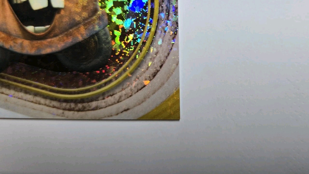 Picture 4 of 12