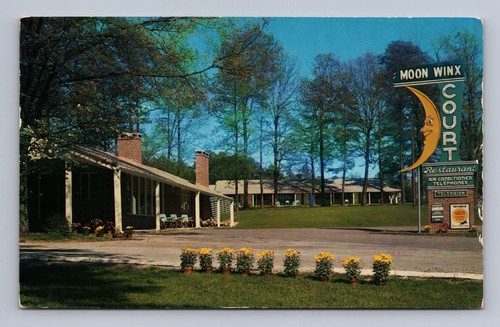 Pineville Vintage Alabama Postcard TUSCALOOSA Moon Winx Motor Court 1963