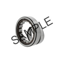 INA - Zylinderrollenlager SL045040 -D-PP