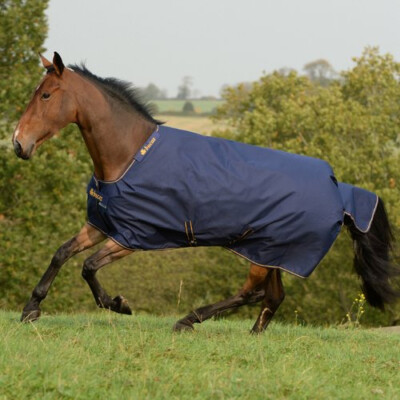 % Bucas Irish Turnout medium 150g - navy blau /gold - (UVP  159,00) NuddelHof-NH