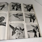 Foto 5 di 6