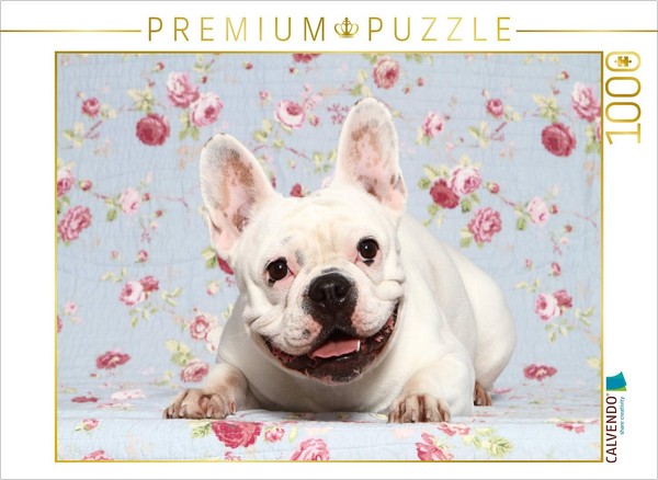 Calvendo Puzzle FranzöSische Bulldogge / French Bulldog | 1000 Teile Lege-GrößE-image