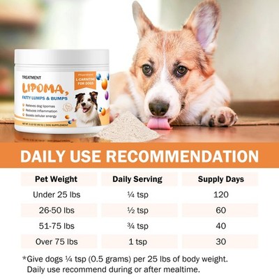 Dog L-Carnitine Supplement 60ct Supports Energy Vitality & Healthy Weight