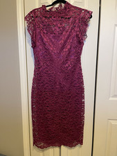 Alexa B Nites Pink Lace Sheath Dress Mock Neck Cap Sleeve Size 8