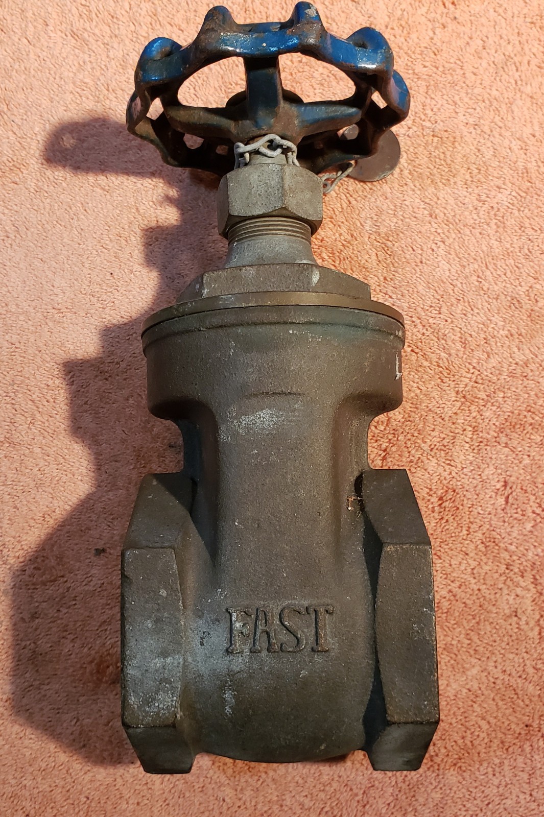 FAST 2 1/2 inch brass gate valve rated for 200 WOG (Water, Oil, Gas), threaded