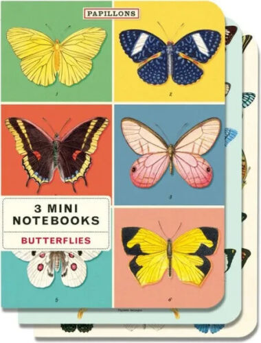 Cavallini Mini Notebooks BUTTERFLIES 96-Page 4 X 5.5 Inch Set of 3 - Picture 1 of 4