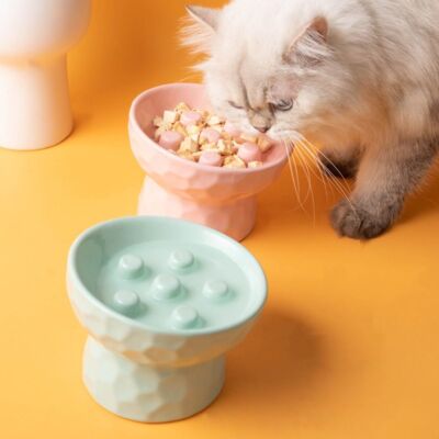Keramik Haustier Slow Feeder Hoher Fuß Hundeschüssel Interaktiv Erhöhtes Katzenfutterbeckenღ