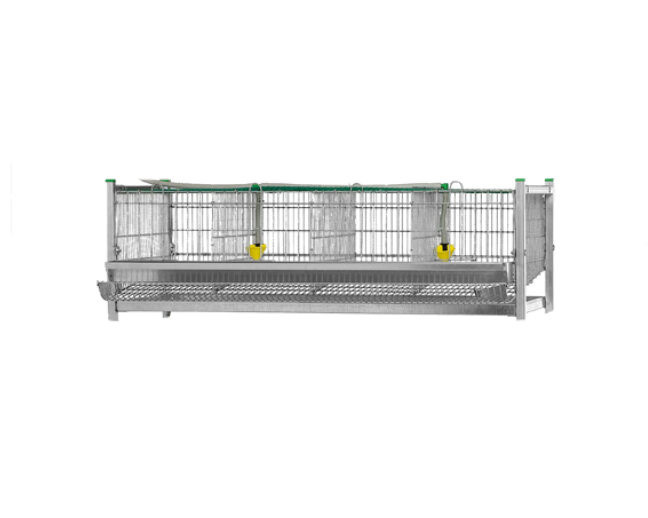 BATERIA CODORNICES 1 CESTA AMPLIACION