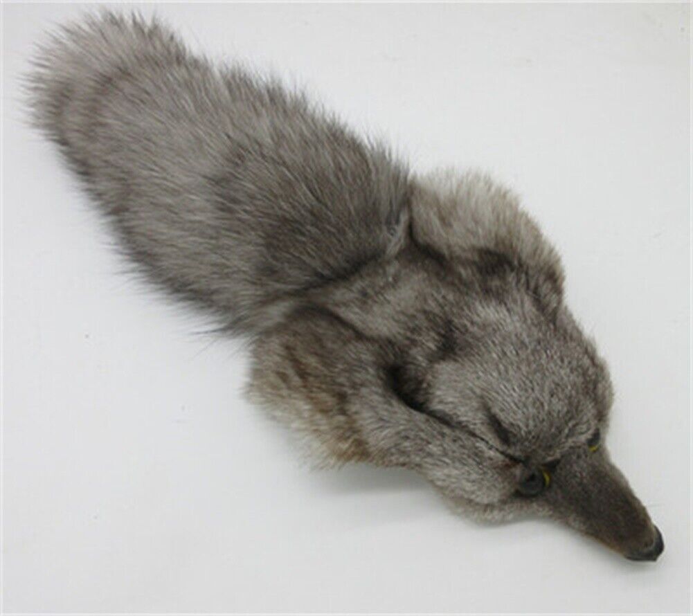 Authentic Grey Fox Head Hide Real Taxidermy Tanned Skin Genuine Soft Fur Pelt Authentic Grey Fox Head Hide Real Taxidermy Tanned Skin Genuine Soft Fur Pelt