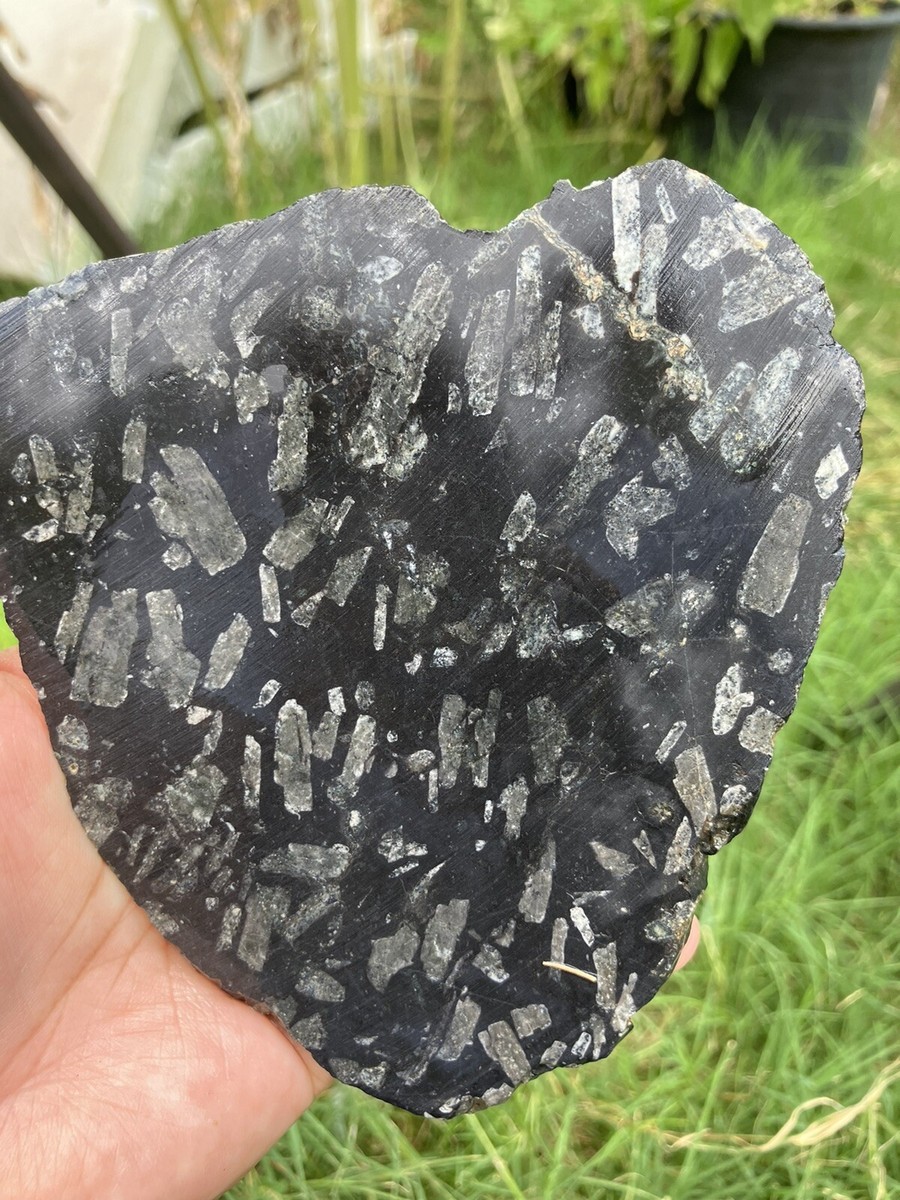 中華奇石 (CHINA’S RARE STONES)　希少本 Chinese Writing Stone Slab | eBay