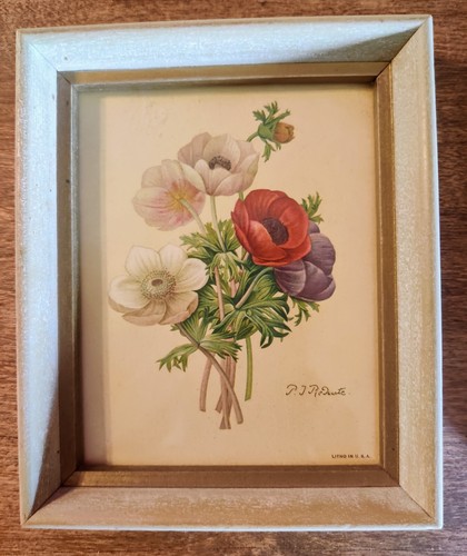 4 Small PIERRE-JOSEPH REDOUTE Prints In Original Gold/Natural Wood Frames. - Picture 2 of 7