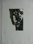 Picture 5 of 12