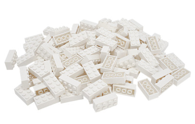 Minizfigs 2x4 Classic Building Bricks 100 PCS Creative Toy Set (White) 3001