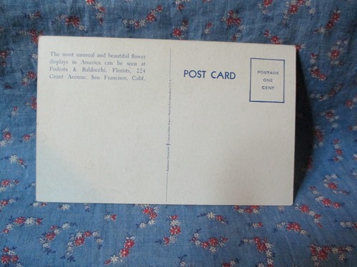 Postcard San Francisco Calif Podesta & Baldocchi Florists 224 Grant Avenue - Picture 2 of 2