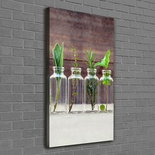 Tulup Canvas Print Wall Art 60x120 - Herbs in jars