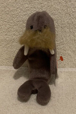 Peluche TY Beanie Baby JOLLY THE WALRUS DOB 12-2-1996 - NUEVO CON ETIQUETAS
