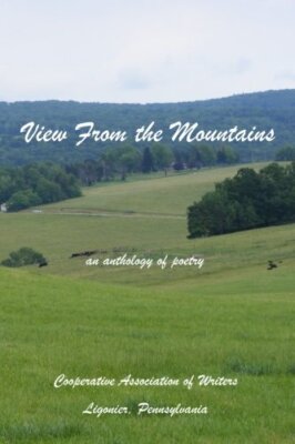 View From the Mountains: an anthology of poetry 9781542694131 Free Shipping-,