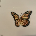 Bild 3 von 5