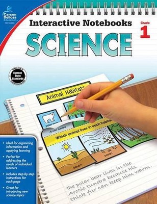 Wissenschaft, Klasse 1 von Holly Rafidi (Englisch) Taschenbuch