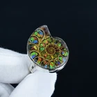 Rainbow Fire Ammonite / Ammolite Fossil Ring 925 Sterling Silver Adjustable Ring
