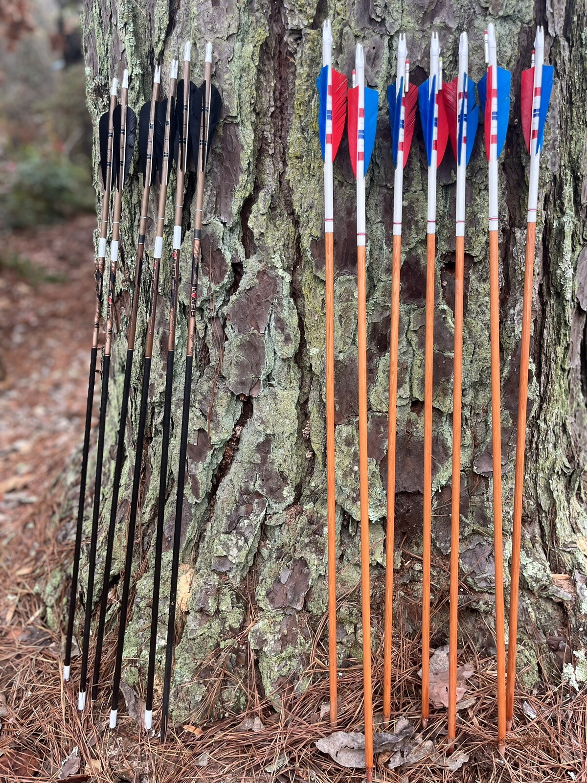 Martin X200 Recurve With Arrow Bundle eBay