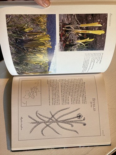 A Guide to Carnivorous Plants of the World by Gordon Cheers Hardcover Book - Picture 6 of 6
