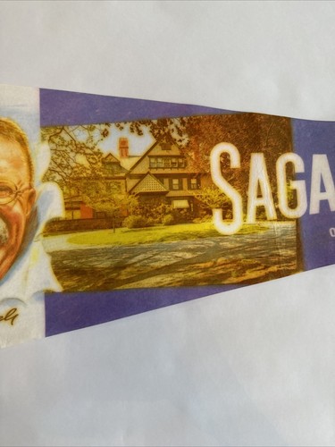 Theodore Roosevelt sagamore hill Oyster bay long island vintage pennant 25” - Picture 3 of 6