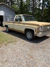 1976 Chevrolet C10 for Sale