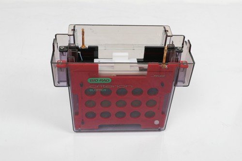 Blotter de criterios Bio-Rad - Imagen 2 de 3
