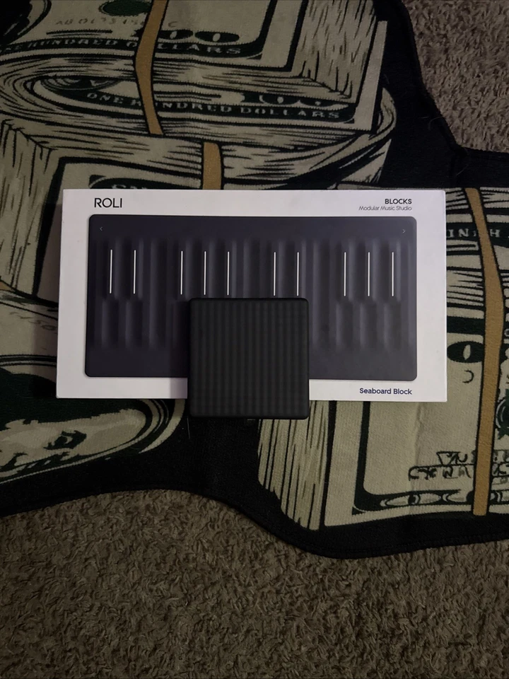 Caballete ROLI Seaboard con almohadilla de luz (usado para poco) Foto 2 de 2