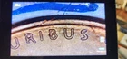 1955 S Wheat Cent Penny ERROR Die Crack In (RIBUS) BU UNC