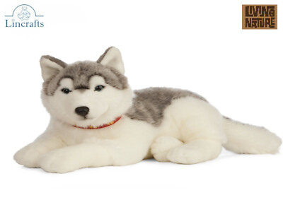 Liegender Husky Hund Plüschtier Kuscheltier - 65 cm - Living Nature AN478