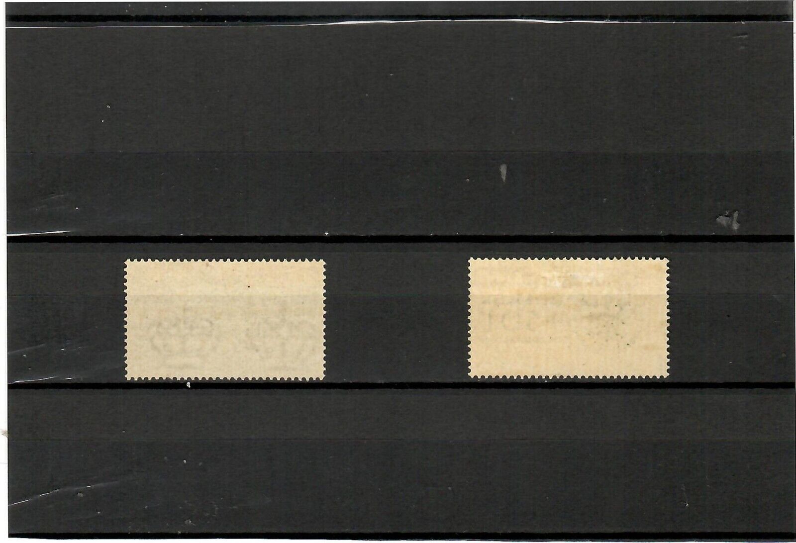 Foto 2 di 2