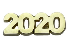 2020 Year Date Script 1 inch Hat or Lapel Pin PMS1133 F7D15Q