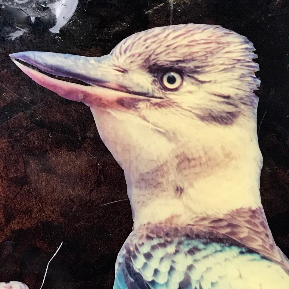 Vintage Kookaburra Wooden Wall Plaque Hand Made From Darwin Australia - image 2 of 4