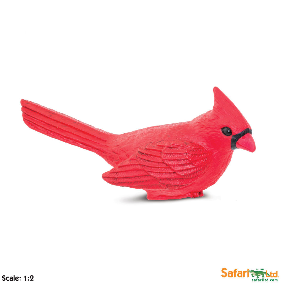 Safari Ltd 100215 Cardinal 12 Cm Series Wings Of The Earth