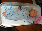 Vintage Berjusa Newborn Baby Boy 20" Anatomically Correct w/Wristband & Booklet