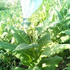 Foto 3 di 6