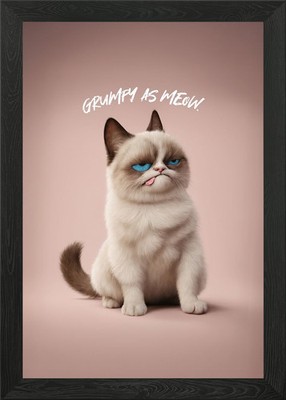 Grumpy As Meow Cat Meme gerahmtes Wandbild Poster Druck Bild