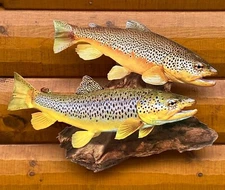 Brown Trout Replica Duo Wall Art -21 Inch Realistic 2D Flat Metal Trout Art