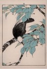 Elm Black Bubul Imao Keinen 1891 Japanese Kacho-e Bird-and-Flower Woodblock