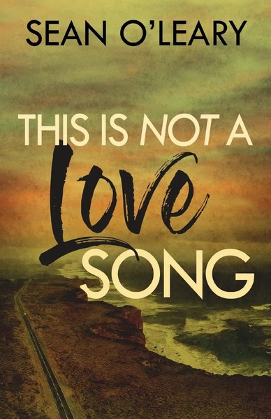 This Is Not A Love Song Sean O'leary Taschenbuch Kartoniert / Broschiert 2022-image