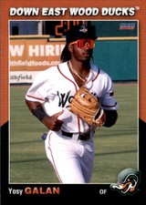 2023 Down East Wood Ducks Choice #28 Yosy Galan Dominican Republic Baseball Card
