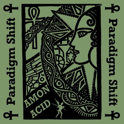 Amon Acid Paradigm Shift (CD) Album