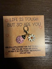 Lady Bug Keychain