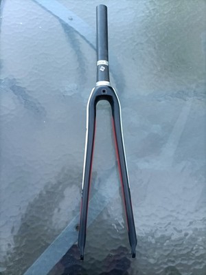 Specialized Fact Carbon Gabel