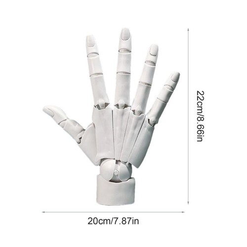 Simulation Hand Joint Finger Manikin Hand Articulated Hand Draw Sketch - Picture 2 of 14